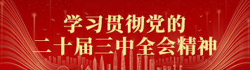 學習貫徹黨的二十屆三中全會精神